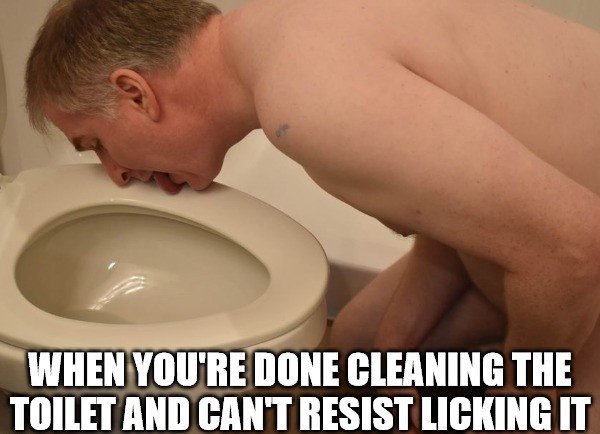 Toilet licking challenge-man licking a toilet seat. 